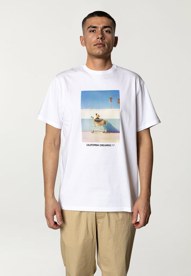 Fat Moose CALI DREAMING T-SHIRT T-shirts S/S White